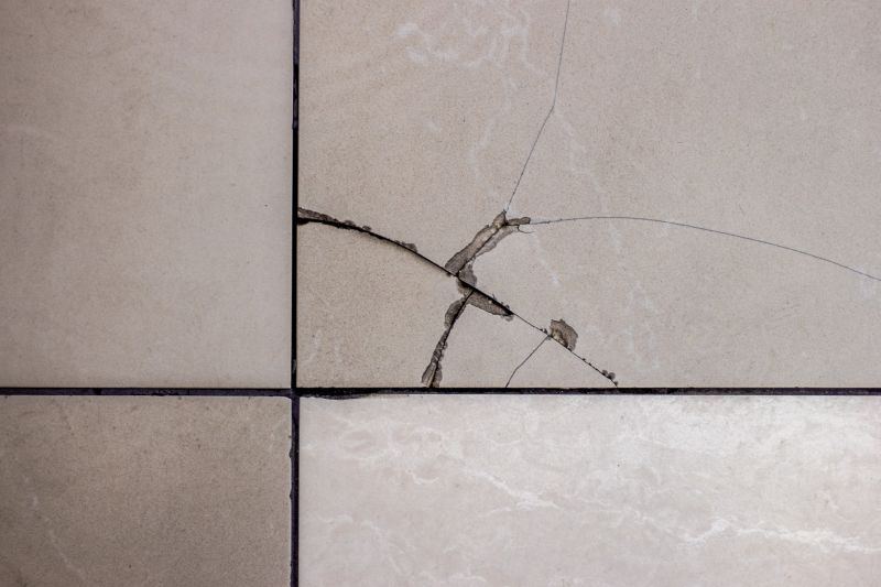 Specialized Tile Repair Services